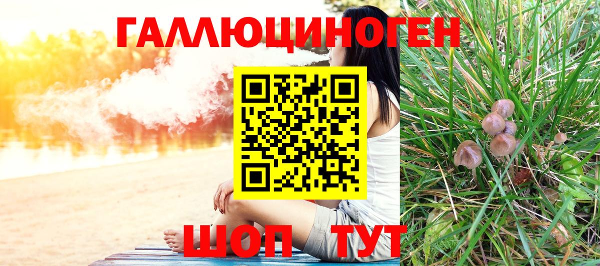 Волгодонск  Псилоцибиновые грибы GOLDEN TEACHER  цена   Вход с VPN  Псилоцибиновые грибы Magic Shrooms 